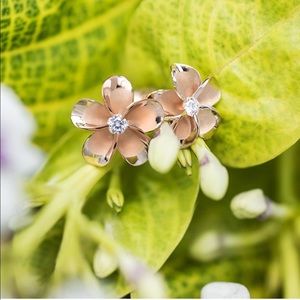 Rose Gold Plumeria stud earrings